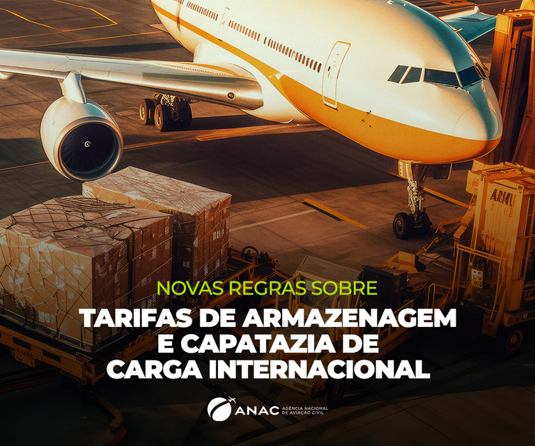 Nova resolução simplifica regras sobre tarifas de armazenagem e capatazia para cargas internacionais