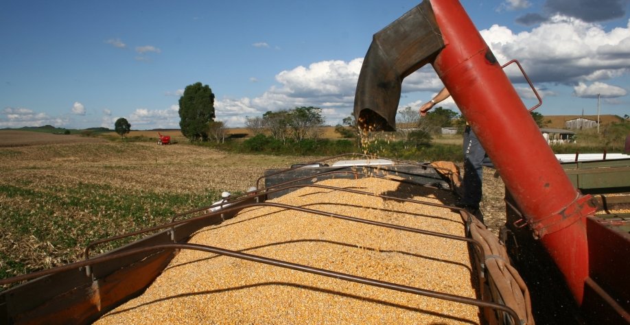 Etanol de milho safrinha do Brasil é aprovado para produção de combustível sustentável de aviação