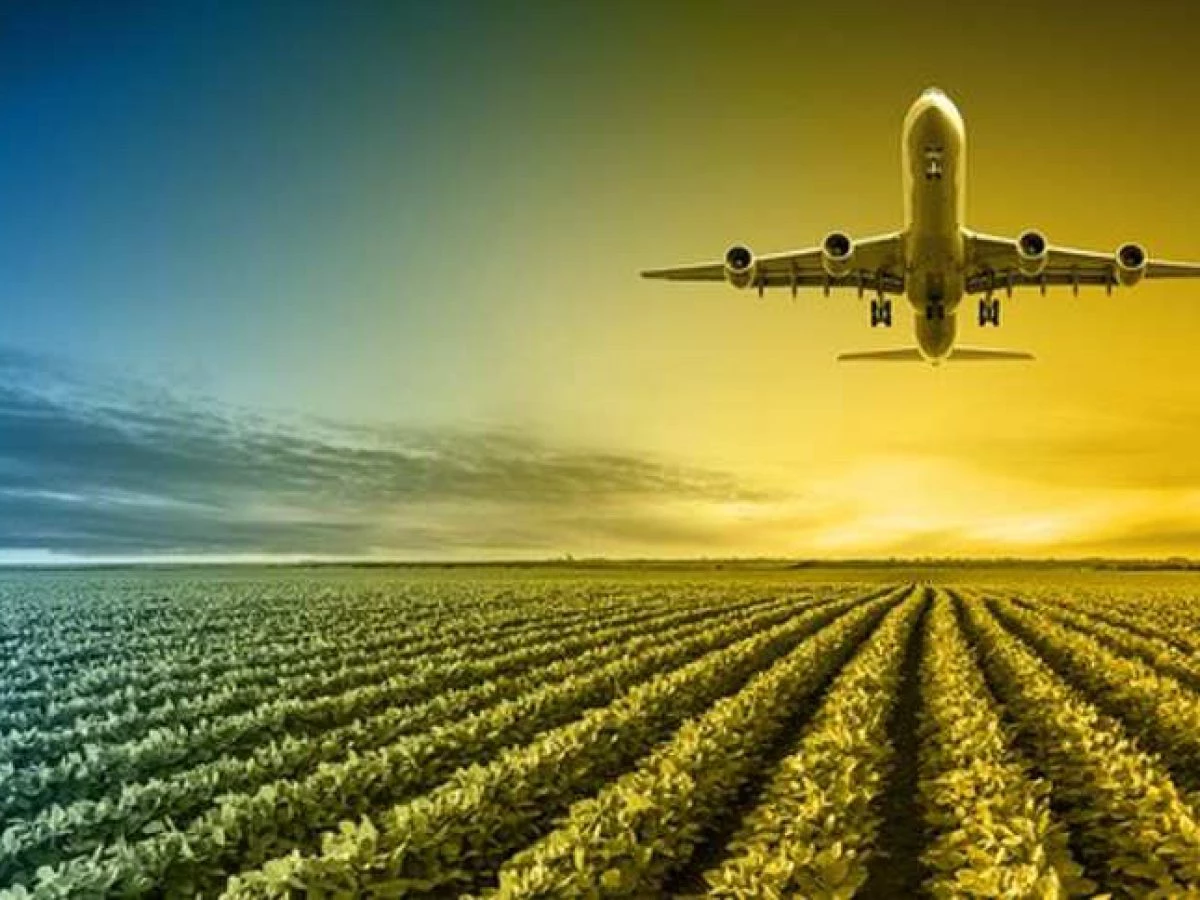 Oportunidade Sustentável: o Potencial do Brasil na Produção de Combustíveis Sustentáveis Para a Aviação