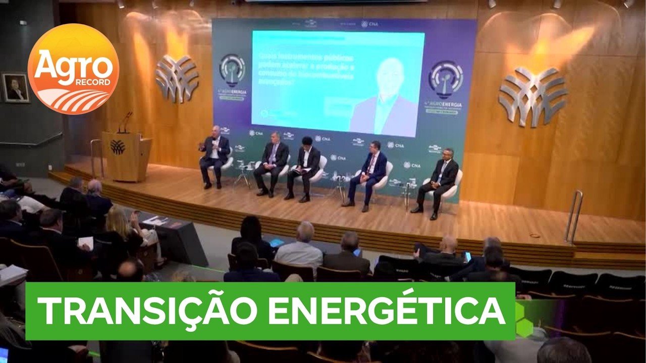 Brasil aposta em combustíveis renováveis para aviação e transporte marítimo